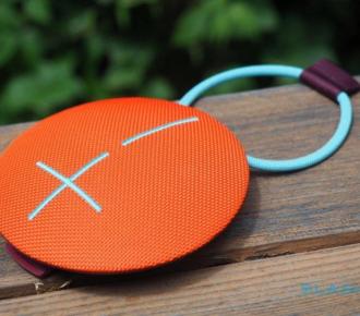 Roskachestvo appreciated portable and home speakers