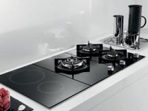 Which household model is better - gas or induction?
