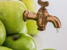 Popular domestic juicers