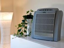 Air purifier for allergy sufferers and asthmatics
