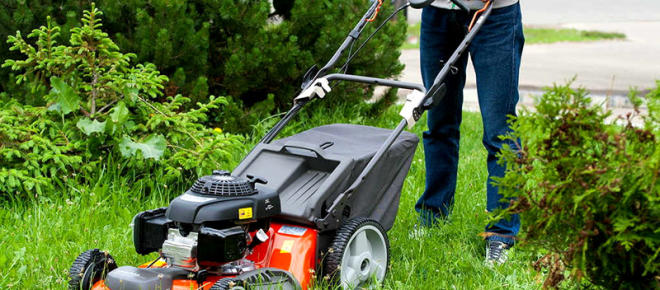 Rating of 15 gas mowers that customers liked the most