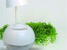Is the air ionizer a panacea or a placebo?