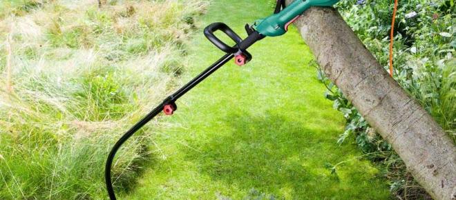How to trim a potato with a trimmer?