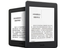 Kindle e-books: affordable gadget or saving on quality?