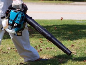 how to choose a garden vacuum cleaner