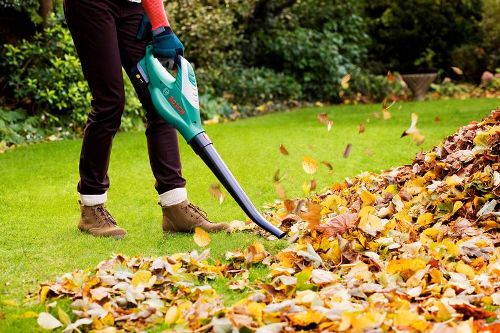 garden vacuum cleaner