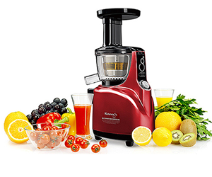 best screw juicer