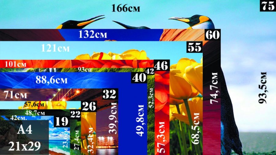 the concept of the size and diagonal of the TV
