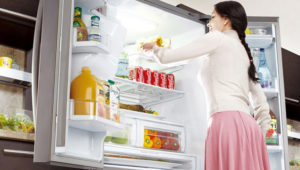 fridge