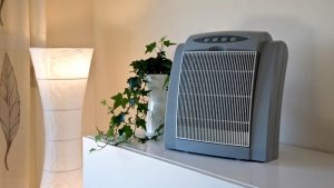 allergy air purifier