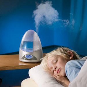 un humidificador en un viver que és millor