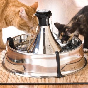 cat drinker