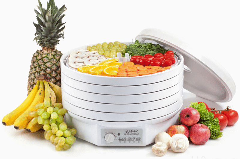 dryer for vegetables and fruits