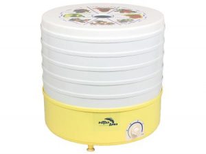 Diva rotor