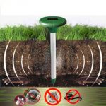 Mole repeller rescues your garden from their invasion
