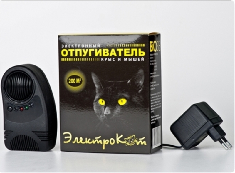 Electronic cat