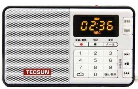 Tecsun q-3