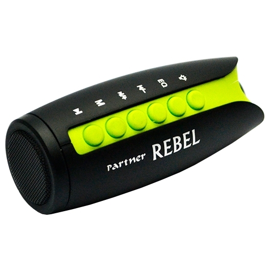 Parther rebel