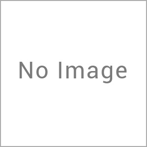 Sony Wireless Stereo Headset 7.1