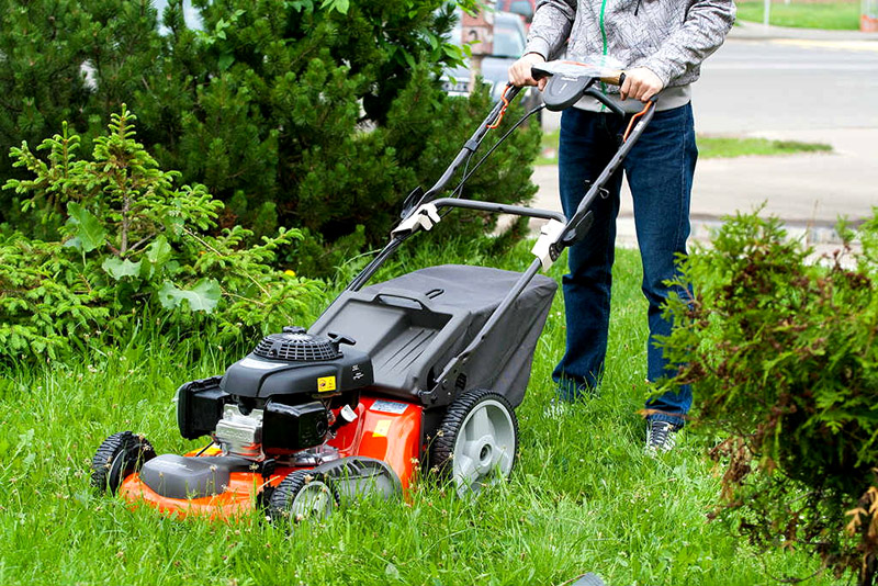 rating of gas mowers